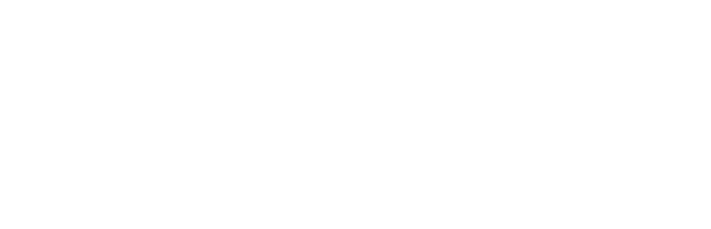 smart group logo