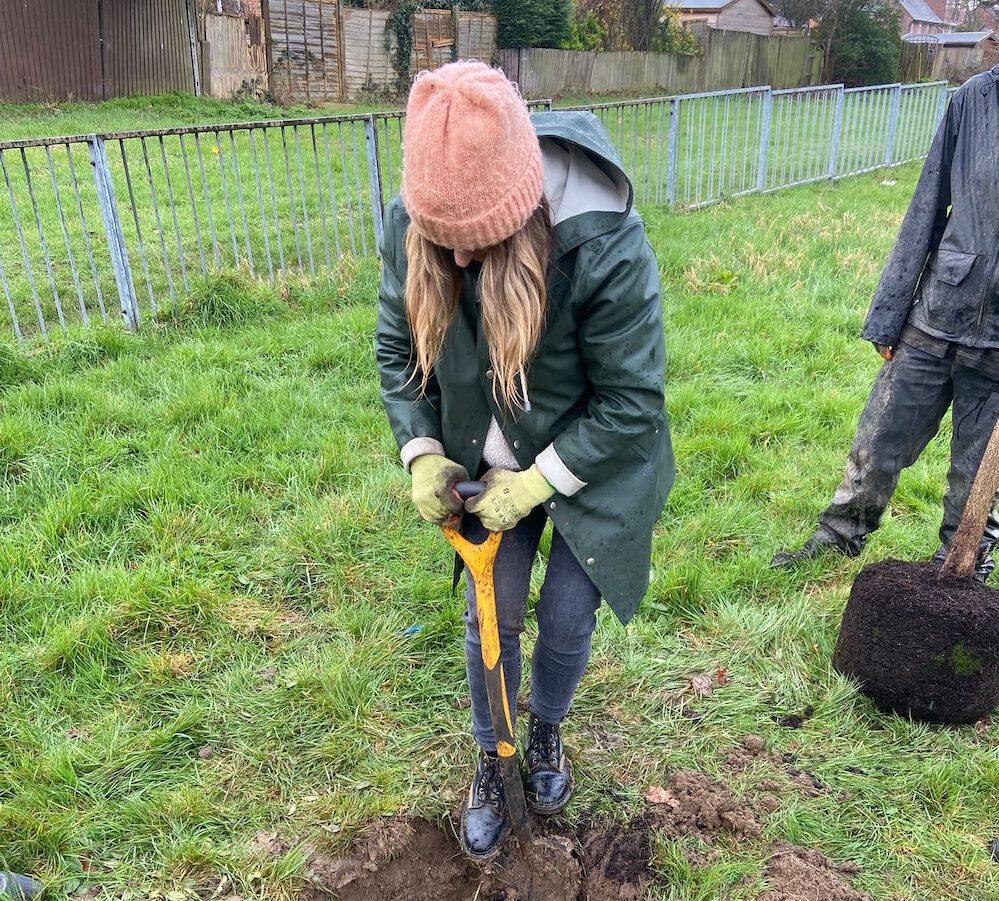 Tree Planting