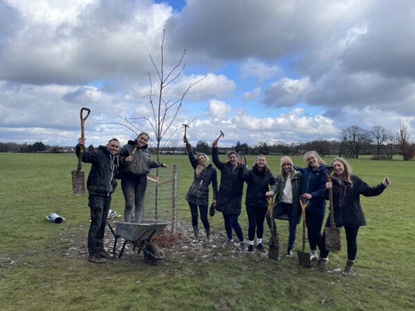 Tree Planting Green Smarties